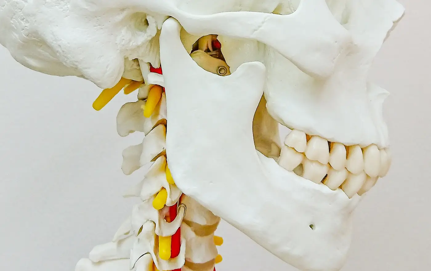 噛み合わせ外来とは