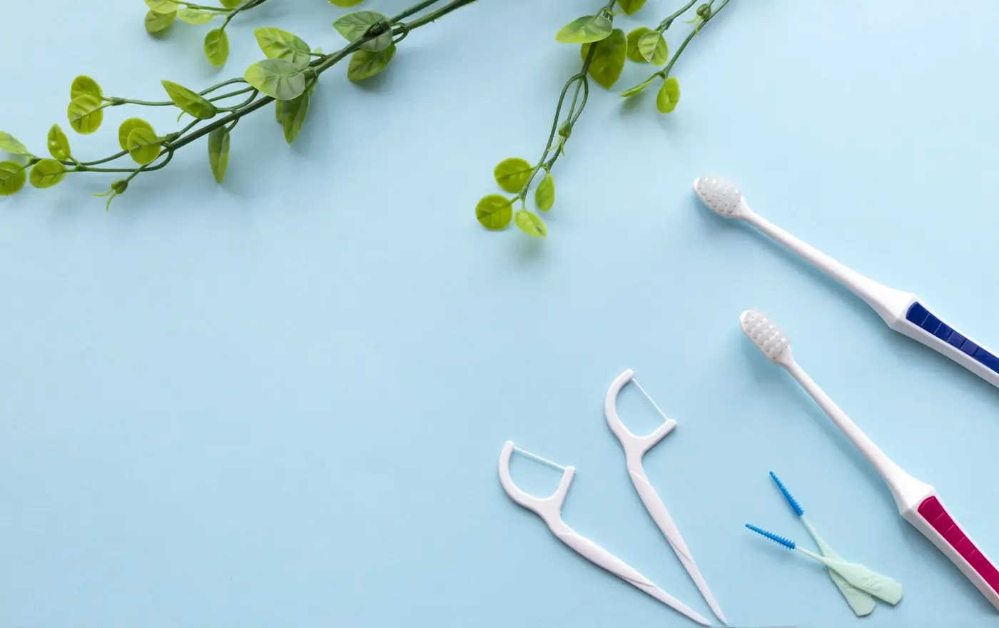 歯間ブラシ・フロスの活用
