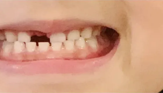 気になるところを撮影